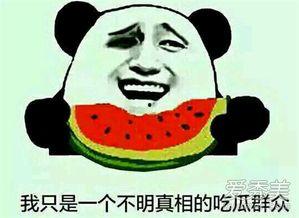 娱乐吃瓜啥意思,吃瓜群众如何成为幕后推手